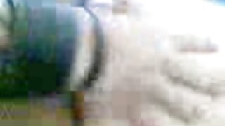Đối tượng hấp dẫn Alexis Brill là fucked cứng phim set moi khong che trong nóng pov clip